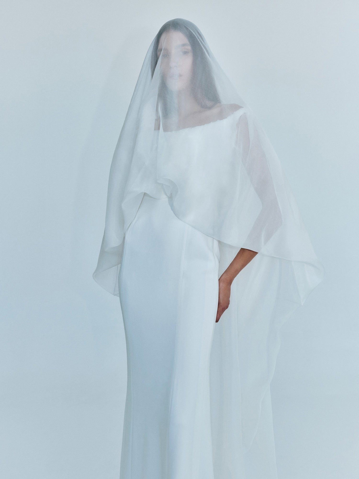 Vapour Overlay Silk Gown