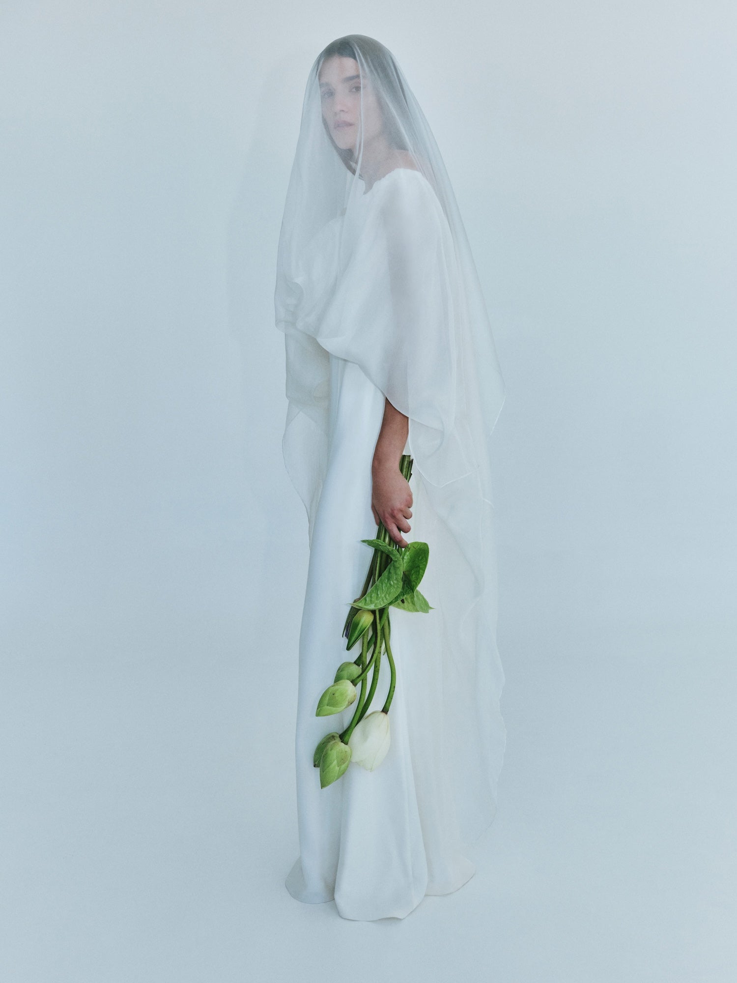 Vapour Overlay Silk Gown