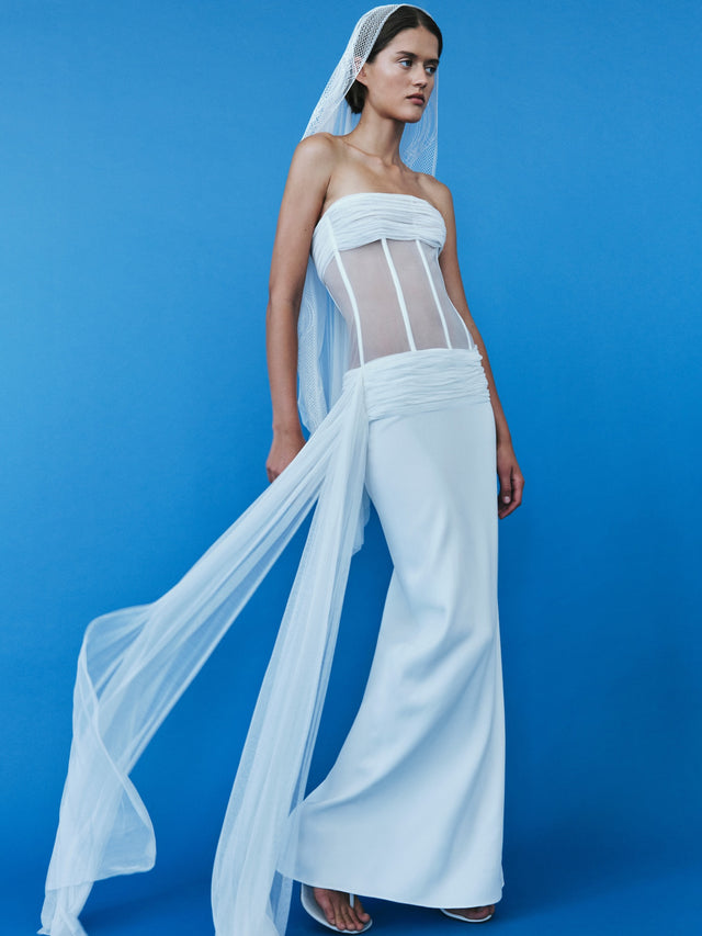 Veiled Corset Dress