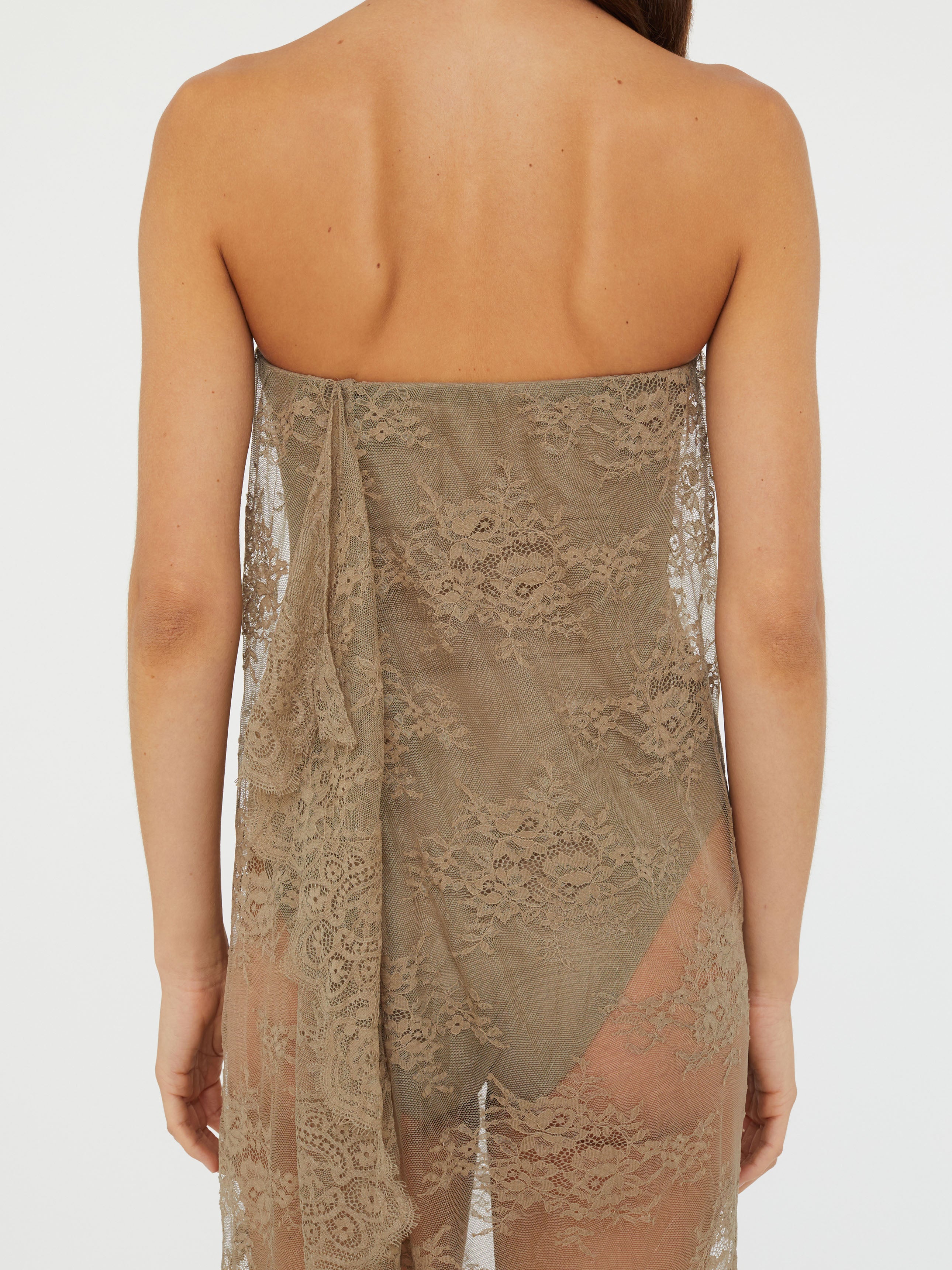 Floating Lace Strapless Dress