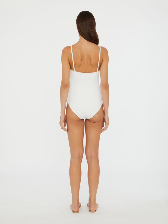 Salacia One Piece