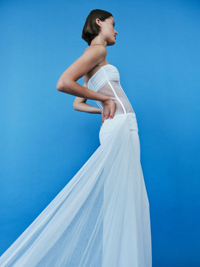 Veiled Corset Dress