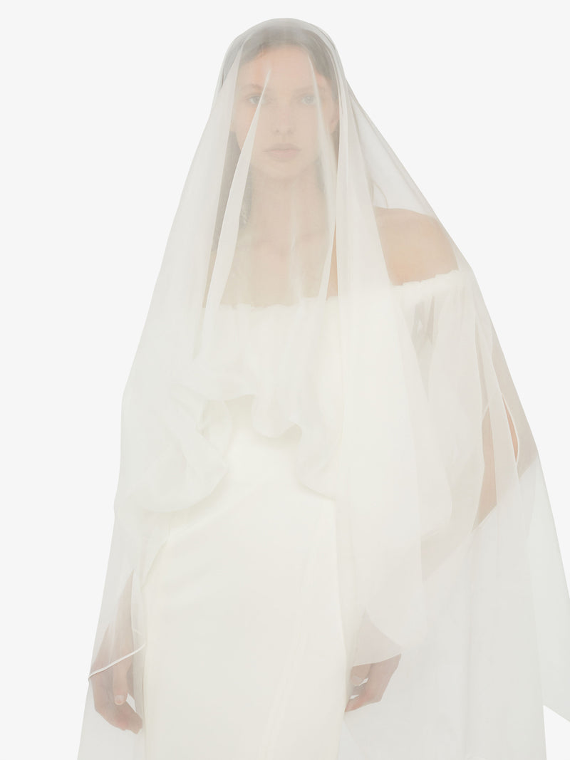 Vapour Overlay Silk Gown - Image 3