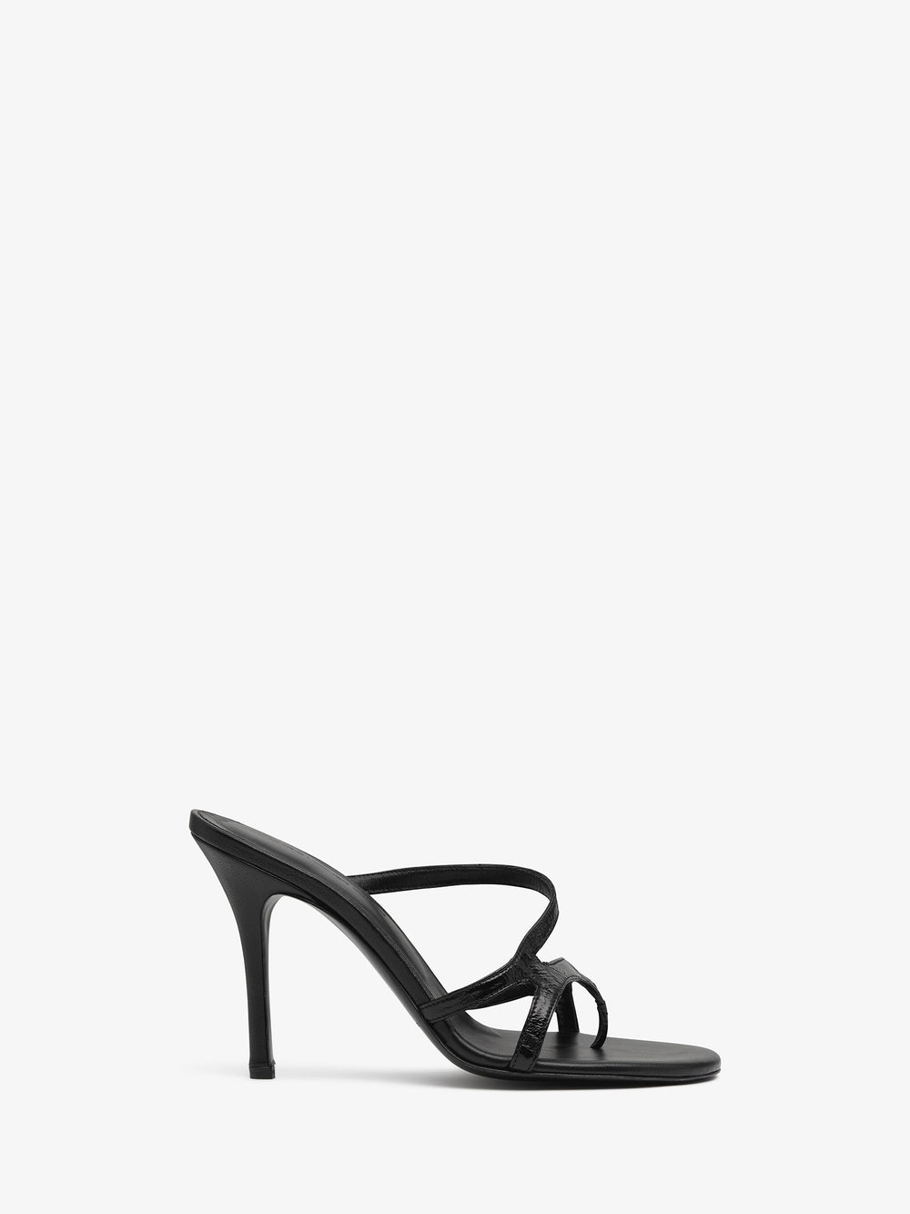 Calathea Heel