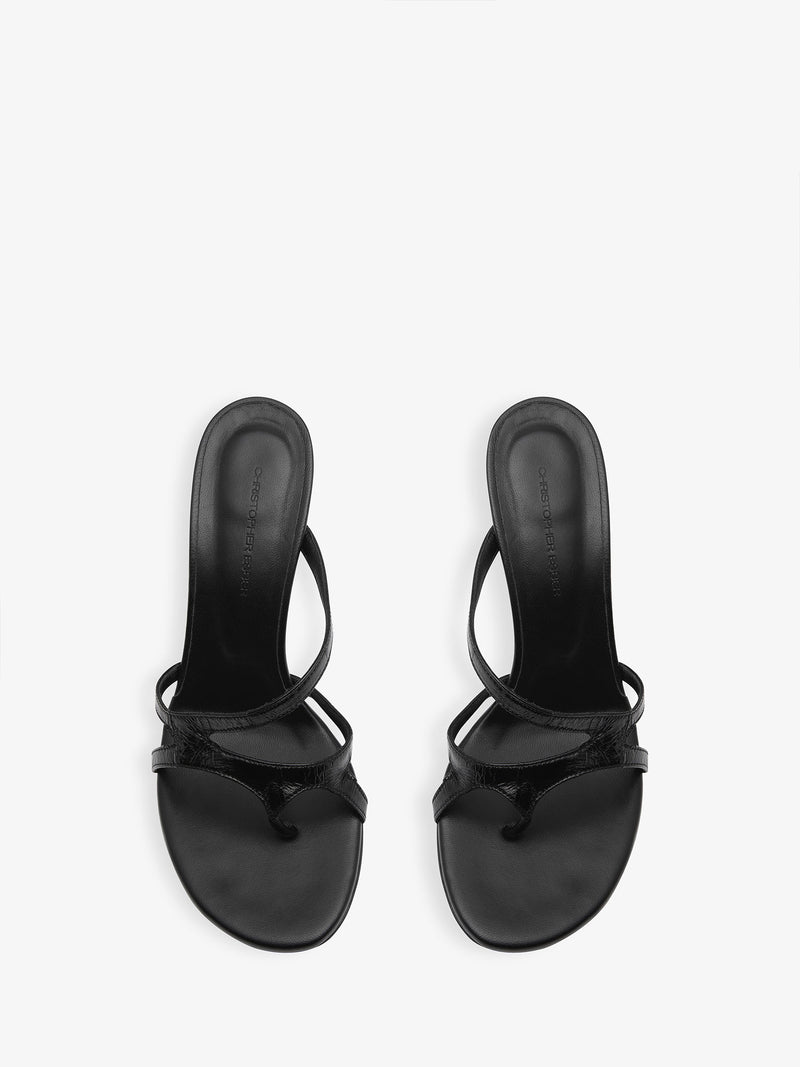 Calathea Heel - Image 4