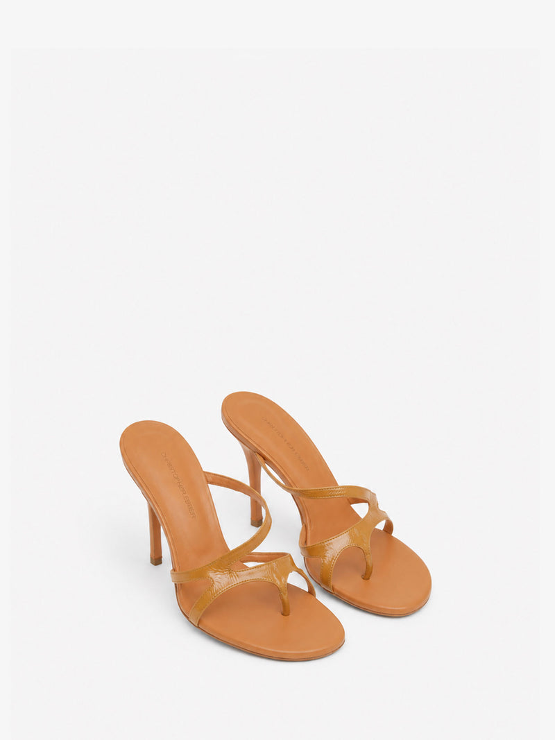 Calathea Heel - Image 2