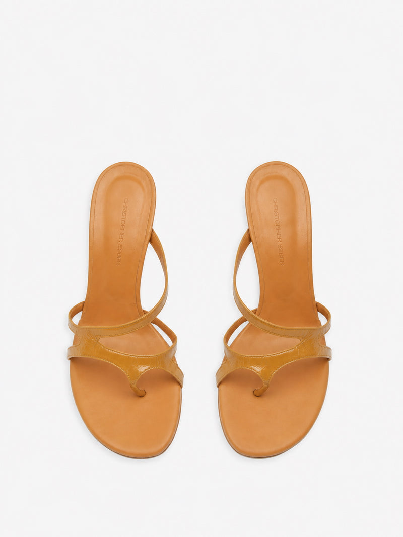 Calathea Heel - Image 4