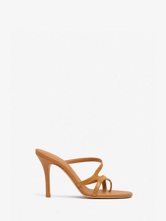 Calathea Heel