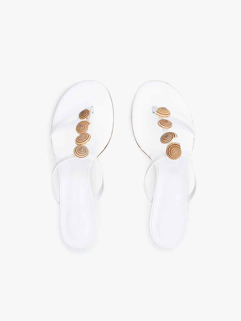 Sundial Seashell Kitten Heel - Image 3