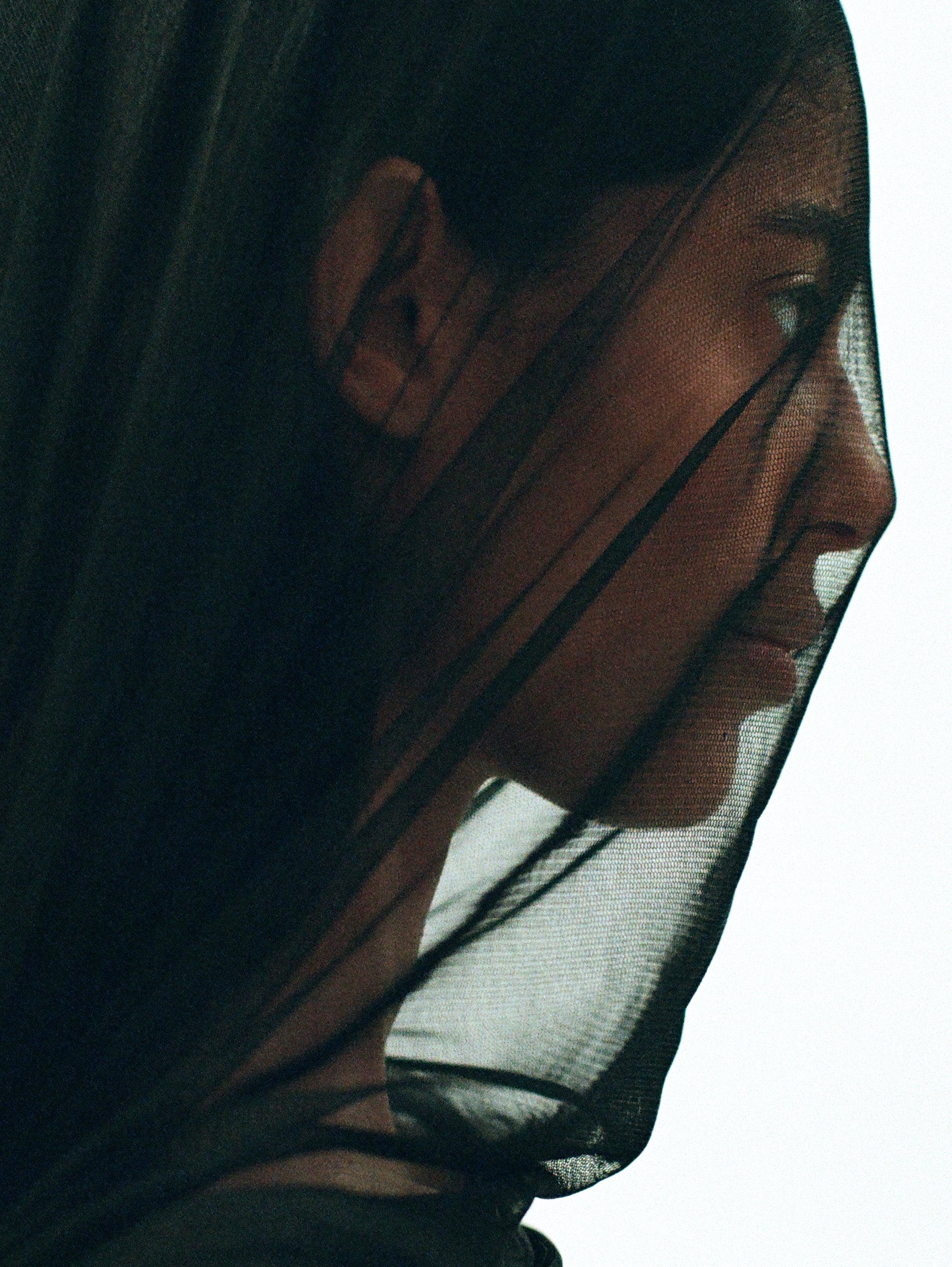 Veiled Story
