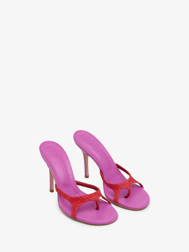 Alocasia Heel - Image 2