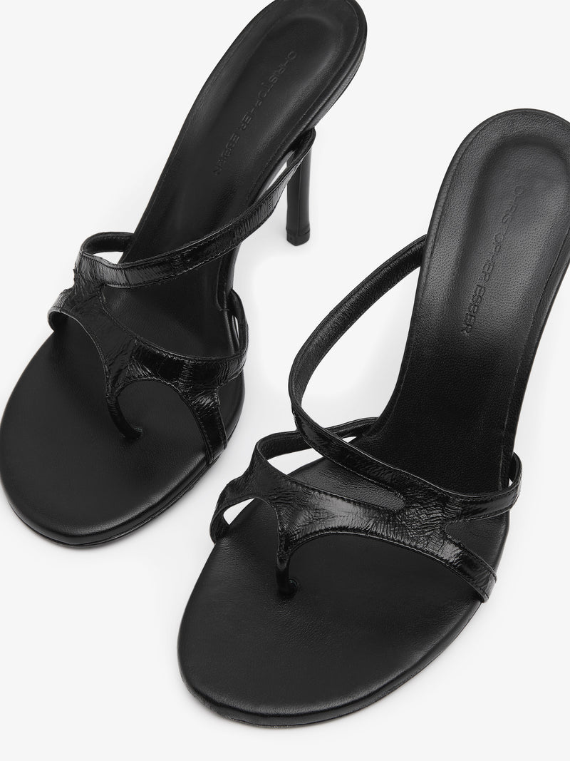 Calathea Heel - Image 3