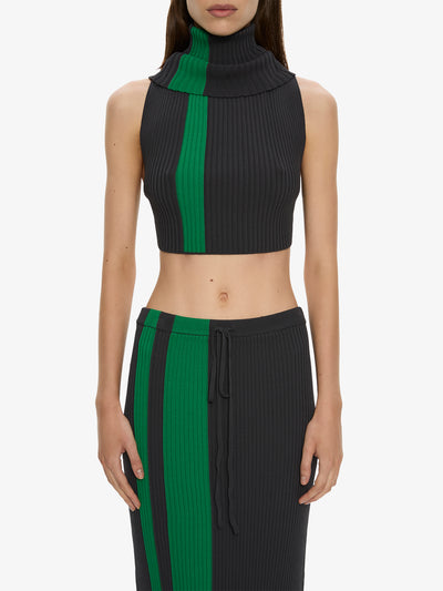 Mach Stripe Turtleneck Crop