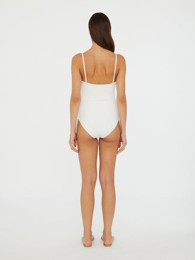 Salacia One Piece