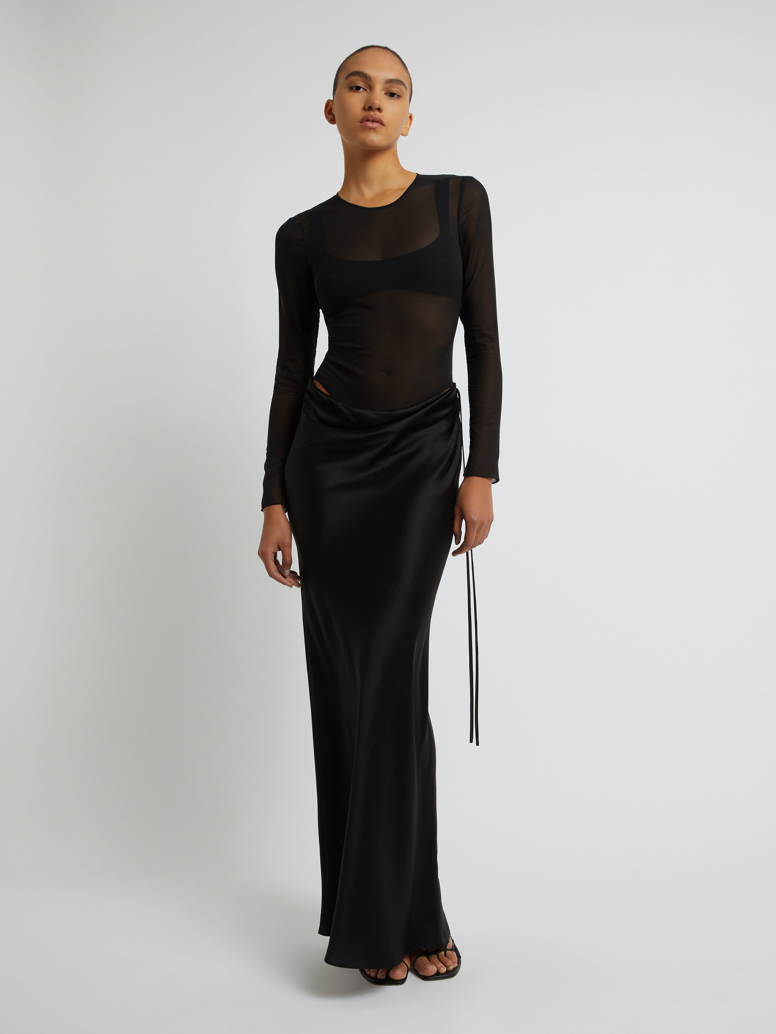 Sheer Torso Long Sleeve Dress