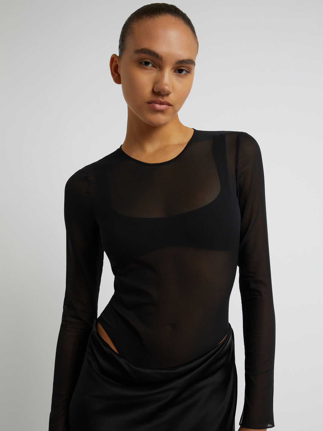 Sheer Torso Long Sleeve Dress